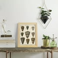 thumbnail image 5 of Cone Shell pl. 318 -Framed Print w/glass-Natural Wood, 5 of 7