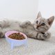thumbnail image 4 of IDEANATEGRATE Bowl Para Mascotas Doble De Resina Rosa Con Base Antideslizante Para Y Comida, 4 of 6