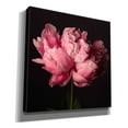 thumbnail image 2 of Epic Graffiti 'Perfect Peony' by Leah McLean Giclee Canvas Wall Art, 12"x12", 2 of 6