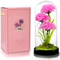 thumbnail image 1 of Flores de Clavel Artificiales en Cúpula de Vidrio con Luz LED, 1 of 6