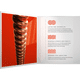 thumbnail image 3 of Cuerdas Daddario Xsapb1047  Bronce Para Guitarra Acústica 10 47 D'Addario XSAPB1047, 3 of 4