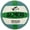 Green Turquoise, variant on Almos Training Volleyball for Club, Indoor and Outdoor Play, Official Size 5 – Pink Green