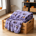 thumbnail image 5 of Halloween Plush Throw Blanket, Velvet Soft Oversized Fall Blanket with Cute Cartoon Character Design, Cozy Warm Lightweight Blanket for Sofa, Bed and Home Seasonal Decor, 5 of 5