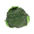 thumbnail image 3 of Tnarru Artificial Vegetable Centerpiece Simulation Vegetable for Drawing Party Shop Broccoli, 3 of 8