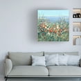 thumbnail image 2 of Trademark Fine Art Tim OToole Seaside Garden II Canvas Wall Art - 24x24, 2 of 5