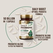 Probiotics 50 Billion CFU per Serving - 10 Strains + Prebiotics - Digestive Health, Gut & Immune Support - Occasional Constipation, Gas & Bloating Support for Women & Men, Bottled USA - 60 Capsules