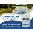 thumbnail image 2 of Sulfato de cobre Algaecide Crystal Blue, 2,27 kg, para algas de estanque, 2 of 9