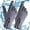 Grey, variant on Sport Gloves Heated Gloves, Winter Gloves For Men Outdoor Sports Gloves Short Plus Velvet Windproof Water Proof Velvet Gloves Winter Cycling Warm Gloves