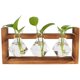 thumbnail image 1 of Estaciones de propagación de plantas de escritorio, florero de vidrio con forma de diamante con soporte de madera para plantas de aire hidropónicas, 1 of 5