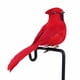 thumbnail image 3 of Pájaro Artificial Plumas de espuma artificial loros artesanía imitación pájaro jardín decoración (rojo) Ndcxsfigh Libre de BPA, 3 of 5