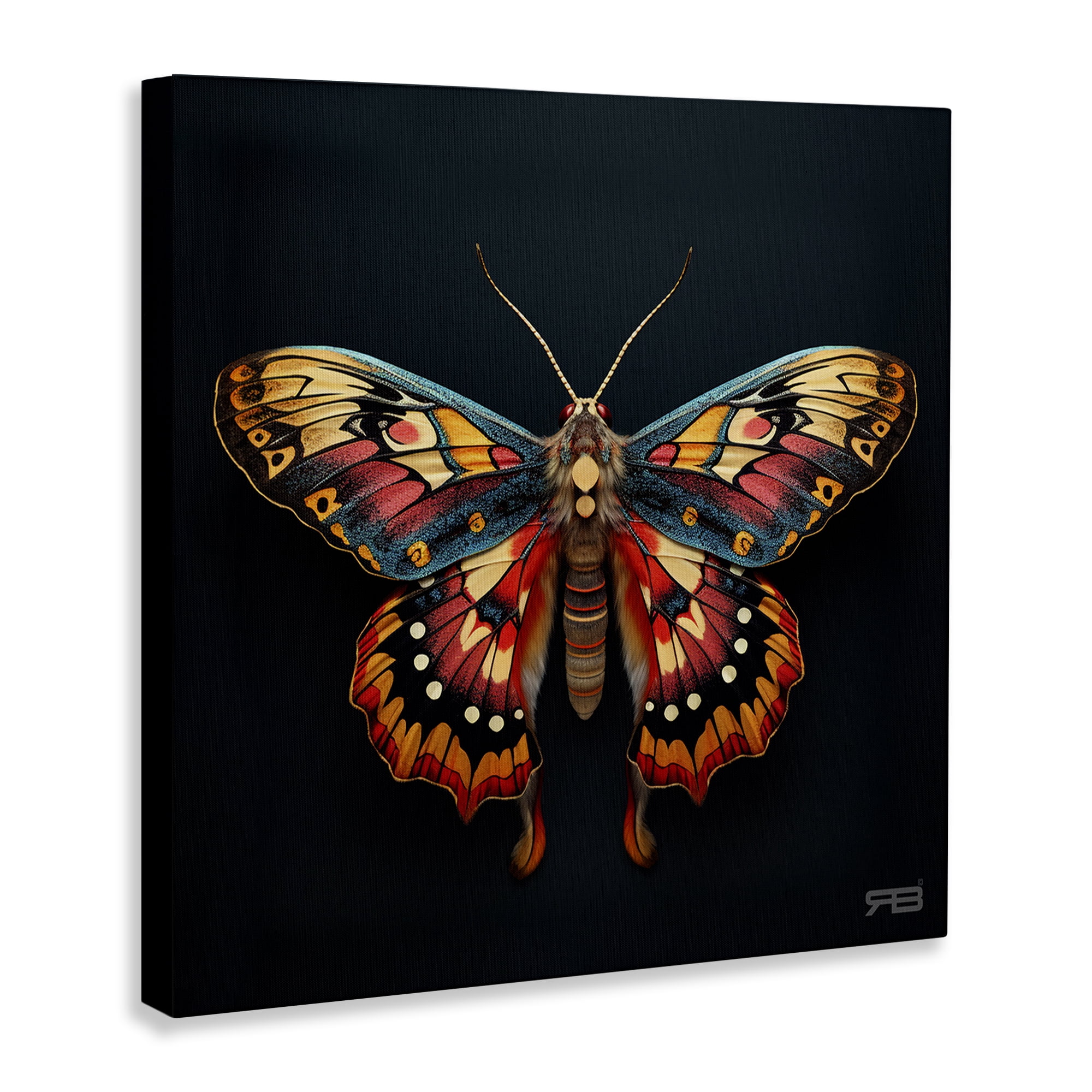 Stupell Industries Vivid Patterned Moth Animals & Insects Painting Gallery Wrapped Canvas Art Print Wall Art, 24 x 24