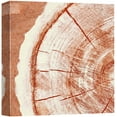thumbnail image 3 of PixonSign Canvas Print Wall Art Underside of Orange Wood Rings Geometric Wilderness Illustrations Modern Art Minimalist Closeup Relax/Calm Multicolor Warm for Living Room, Bedroom, Office - 16"x16", 3 of 5