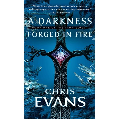 A Darkness Forged in Fire : Book One of the Iron