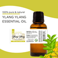thumbnail image 3 of GreenHealth Ylang Ylang Essential Oil – 4 fl oz | 100% Ylang Ylang Oil | Amber Glass Bottle w/ Cap | for Aromatherapy, DIY Solid Perfume, Roll-Ons, Body Lotion, 3 of 4