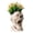 White, variant on QLUEWX Screaming Zombie Head Planter Pot, 5.7 Inch Horror Skull Succulent Planter, Gothic Resin Plant Pot for Indoor Outdoor Halloween Home Office Desk Decor Gift