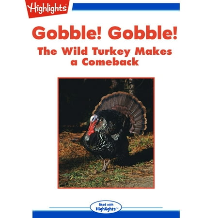 Gobble! Gobble! The Wild Turkey Make a Comeback - (Best Way To Make Stuffing Outside The Turkey)