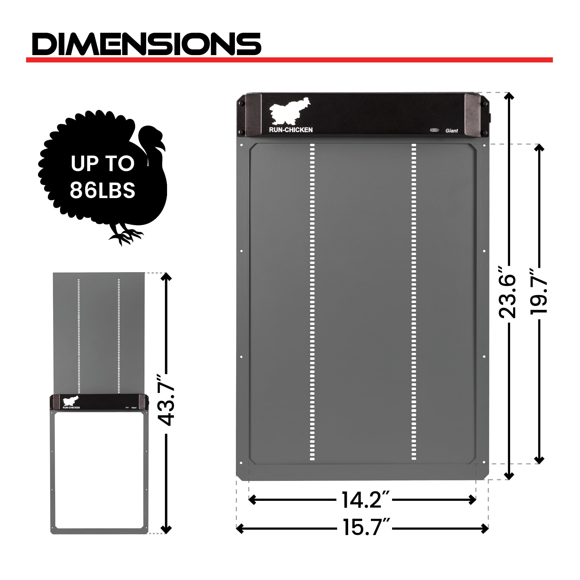 RUN-CHICKEN Door GIANT (Gray) - Automatic Turkey Coop Door Opener with Timer