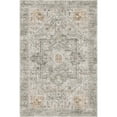 thumbnail image 5 of BERTHMEER 6'x9' Traditional Vintage Gray Taupe Area Rugs for Living Room Bedroom Dining Room Office Farmhouse Retro Distressed Non-slip, 5 of 8