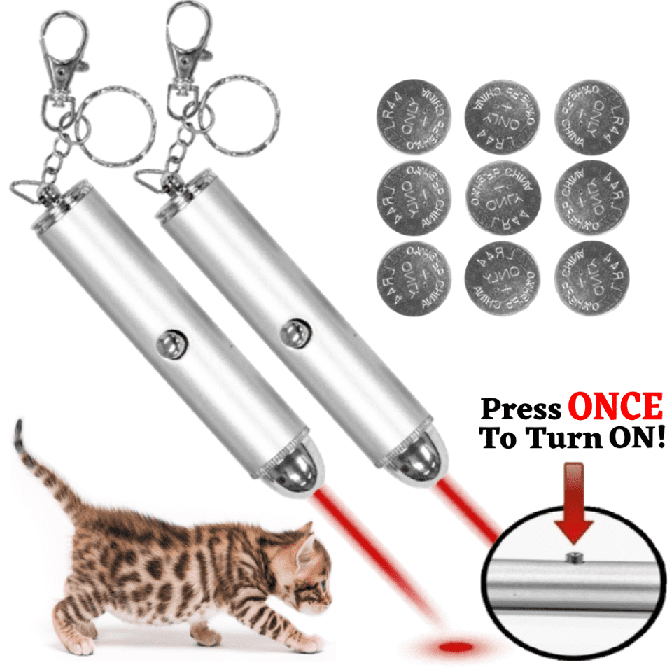 2 Pet Laser Red Light Beam Pointer Cat Chaser Toy Interactive Exercise Key Chain 