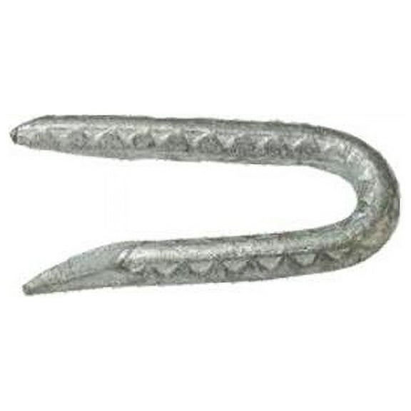 Grip-Rite 1/4 in. W X 2-1/2 in. L Galvanized Steel Fence Staples 9 Ga. 1 lb
