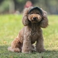 thumbnail image 2 of Catlerio Dog Pet Puppies Hat Ear Holes Headwear Baseball Cap Outdoor Sun Hat Accessory, 2 of 5