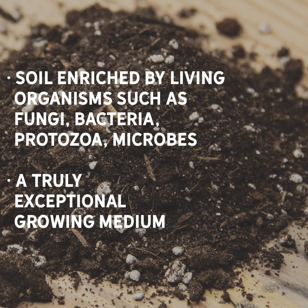 New Country Organics | Living Soil | Premium Growing Medium | 1 Cubic Foot Bag