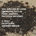 thumbnail image 3 of New Country Organics | Living Soil | Premium Growing Medium | 1 Cubic Foot Bag, 3 of 6