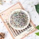 thumbnail image 2 of Piedras decorativas para astillas, cristal T4U, 900 g, fluorita, 2 of 9