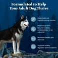 thumbnail image 5 of Blue Buffalo Wilderness Adult High-Protein Natural Dry Dog Food, Chicken Recipe 13-lb. Bag, 5 of 12