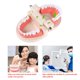 thumbnail image 4 of Son buenas herramientas para que los padres enseñen a los niños pequeños a cepillarse los dientes, cantidad suficiente para satisfacer sus necesidades de compra., 4 of 5