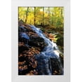 thumbnail image 3 of Alan Hausenflock 23x32 White Modern Wood Framed Wall Art Titled - Autumn Waterfall I, 3 of 5