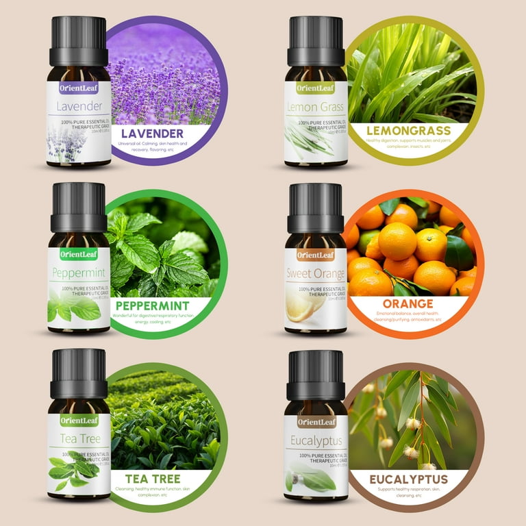 Cliganic Organic Essential Oils Set (Top 5 x 15ml) - 100% Pure Natural -  Aromatherapy, Candle Making - Peppermint, Lavender, Eucalyptus, Lemongrass  & Orange 
