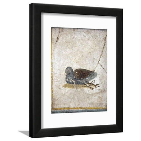 Framed Bird Prints For Sale Italy, Naples, Naples National Archeological Museum, Stabiae, Villa of Arianna (15), Birds Framed Print Wall Art By Samuel Magal ()