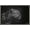 Barnwood Framed Version, variant on 5FishCreative - Leopard Portrait Wall Poster, 14.725" x 22.375"