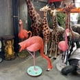 thumbnail image 6 of Flamingo Head Down Life Size Statue, 6 of 7