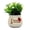 style 2, variant on Yvsxxv Mini Simulation Flower Car Ornament Ceramic Plant Decor for Car Dashboard Home Decoration, Style 1, 1 Pack