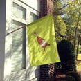 thumbnail image 2 of Carolines Treasures BB7691CHF Indian Runner Duck Drapeau Vert Maison en Toile, 2 of 4