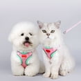 thumbnail image 6 of Pet Reflective Breathable Mesh Leash | Adjustable No-Pull Harness for Dogs and Cats | Comfortable Soft Padding | Multi-Point Safety | Quick-Dry Lightweight | Outdoor Walking | 82g | 23x17x2cm |, 6 of 6