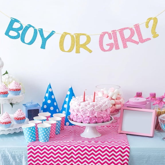 Boy Or Girl Sign Banner, Gender Reveal Banner, Baby Shower Party Decorations, Pre-strung Pregnancy Announcement Decor