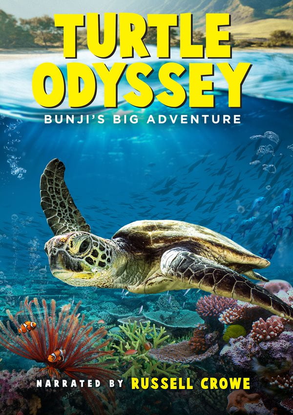 Turtle Odyssey 2