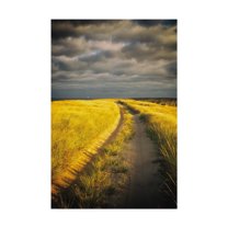 Trademark Fine Art 'Down the Road' Canvas Art by Aledanda