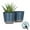 Blue, variant on Lark & Vine Wallula Resin Planter, Durable and Light Weight, 10" x 10" x 8.9", Aqua, Set of 2