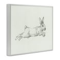 thumbnail image 4 of Stupell Industries Jumping Rabbit Sketch Animals & Insects Drawing White Framed Art Print Wall Art, 14 x 11, 4 of 10