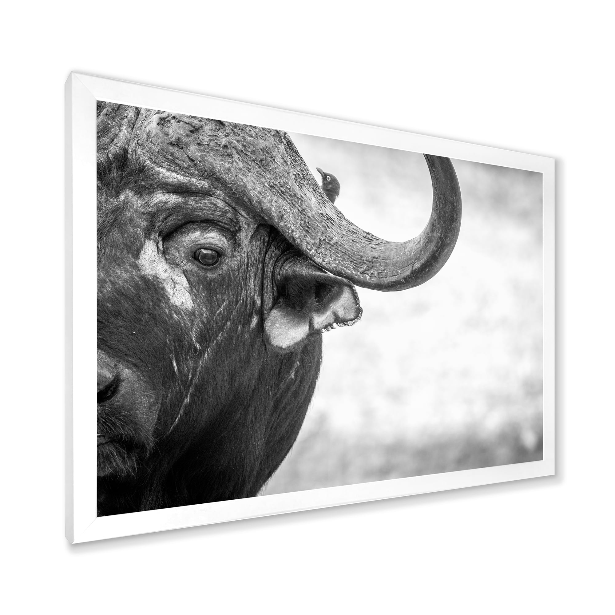 Designart 'Black and White Portrait Of Buffalo III' Farmhouse Framed Art Print