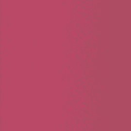 19 - Rose Embrace 200