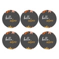 thumbnail image 2 of Disketp Autumn And Fall Leaves Funny Coasters,6 Pcs Leather Coasters With Holder, Perfect Housewarming Hostess Gifts,Protect Furniture From Water Marks Scratch And Damage, 2 of 9