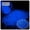 Dark Blue-1 pack, variant on 1000pcs Glow in the Dark Pebbles, 3–5mm Luminous Sand Stones for Garden Pathway, Lawn, Yard, Aquarium, Fish Tank, Outdoor & Home Decorative Lighting Gravel