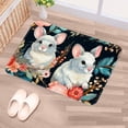 thumbnail image 5 of Animal Kitchen Rug Outdoor Carpet Door Mat Polyester Non-Slip Machine Washable, 5 of 6