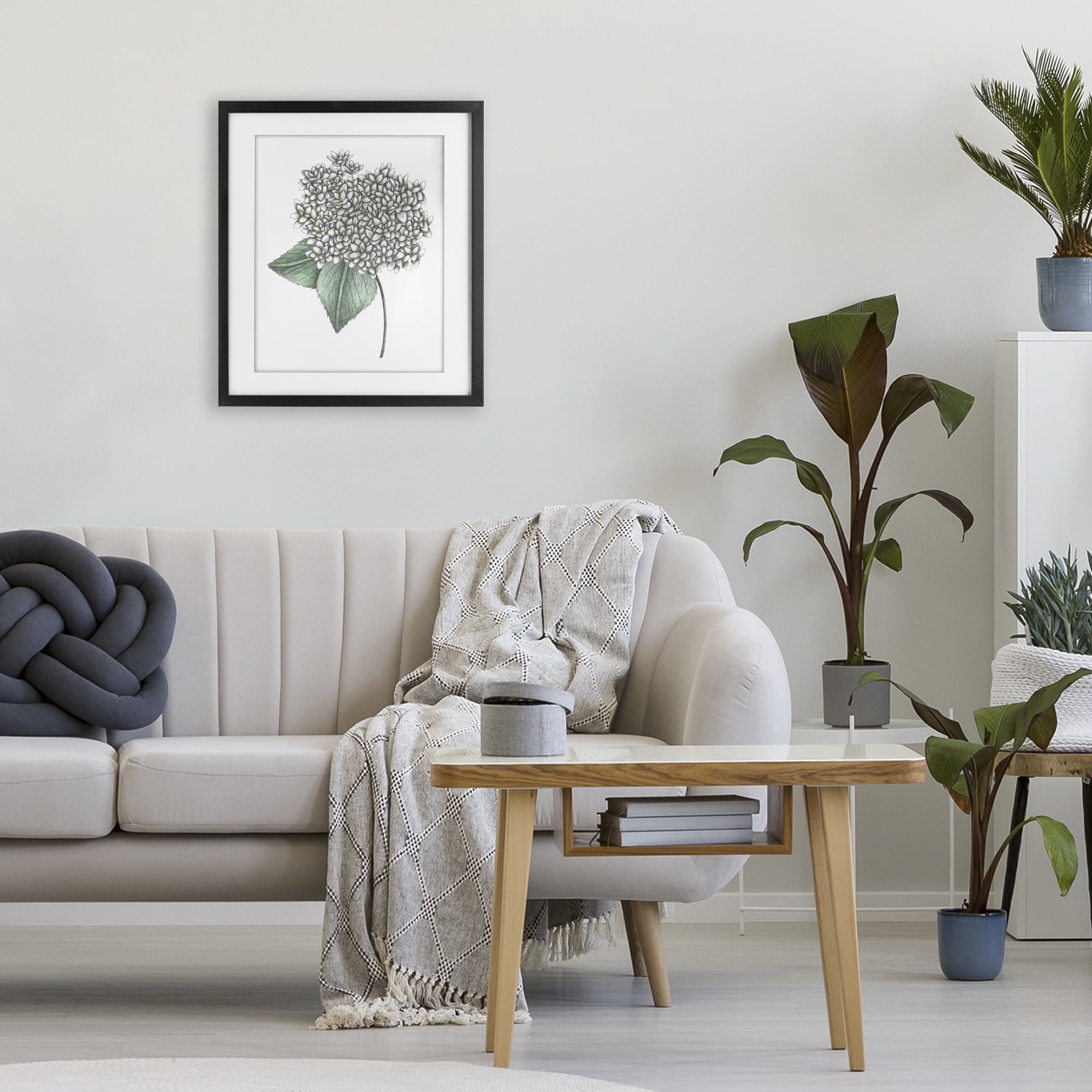 White Hydrangea Sketch Blossom Black Framed Print Under Glass, design by Cecilia Battaini