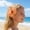C, variant on Artificial Flower Hair Accessories for Women Girls, Floral Hair for Beach Wedding Party, Summer Tropical Bloom Ponytail Holders, Bridal Shower Hair Decorations for Daily Styling,A